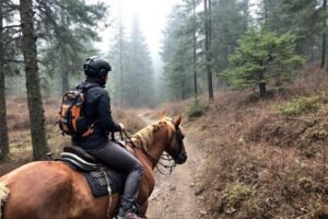 TREC randonnée équestre technique : guide et conseils pratiques